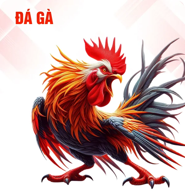 hinh-da-ga
